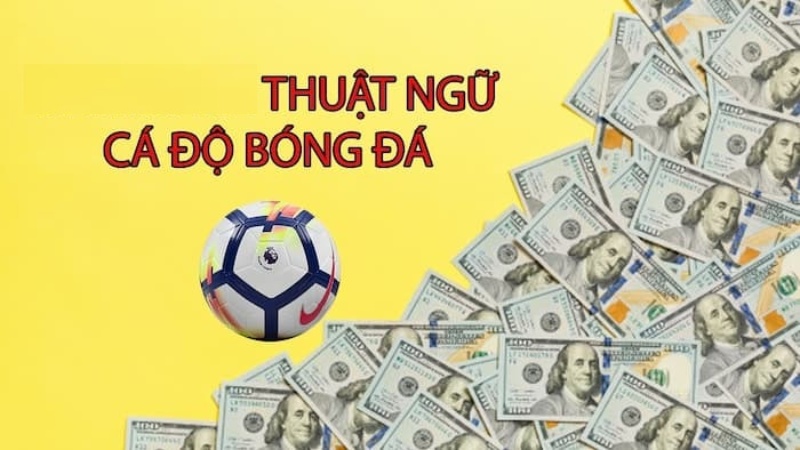 Những thuật ngữ cá độ bóng đá người mới chơi nên biết