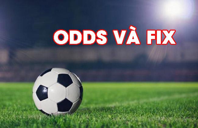 Chi tiết nhất về cách xem Odds fix của nhà cái bạn phải nắm được